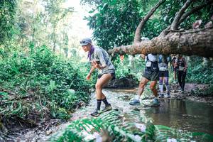 BIB: 
                            <button type="button" onclick="openModal(25445198)" class="btn btn-primary btn-sm float-right btn-popup" data-toggle="modal" data-target=".modal-high-quality">
                        <i class="fas fa-shopping-cart"></i> Add to Cart
                    </button>
                                            <button type="button" onclick="isThisMe(25445198, true)" class="btn btn-success btn-sm float-right btn-popup btn-isme hidden" data-toggle="tooltip" data-placement="bottom" title="นี่คือรูปของคุณใช่ไหม คลิกที่นี่เพื่อเอาเข้าอัลบั้ม">
                        <i class="fas fa-plus"></i> Add to album
                    </button>
                    <button type="button" onclick="isThisMe(25445198, false)" class="btn btn-warning btn-sm float-right btn-popup btn-isnotme hidden">
                        <i class="fas fa-ban"></i> Remove from album
                    </button>